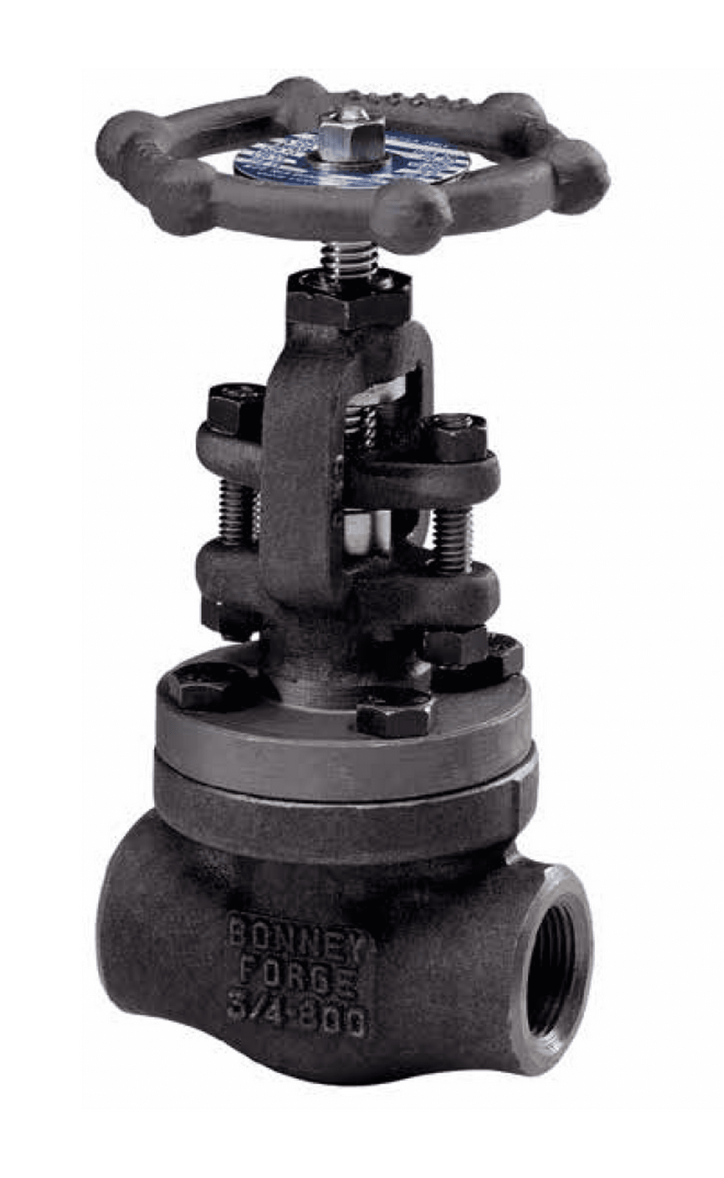 Api valve. Globe valve.